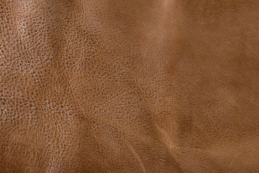 Texture of brown leather. Texture of natural brown leather. Background for design or project.