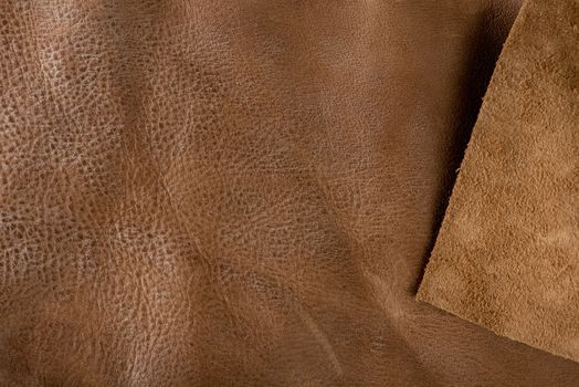 Texture of brown leather. Texture of natural brown leather. Background for design or project.