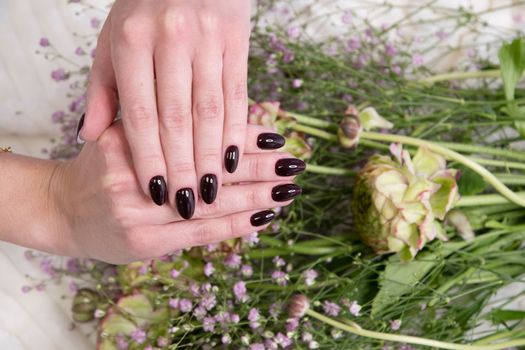 female hands with a beautiful dark burgundy manicure hold a bouquet of gypsophila. High quality photo