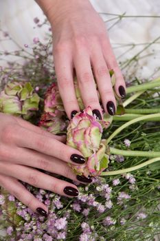 female hands with a beautiful dark burgundy manicure hold a bouquet of gypsophila. High quality photo