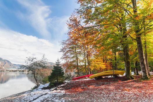 Canoe in the autumn forest on the shore of Lake Bohinj in Slovenia.