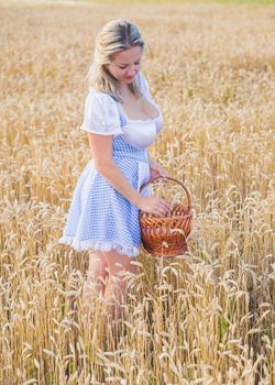 Beautiful blonde with a basket tears wheat in the field.