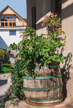 Rotten barrel of flowers in an alpine village in Slovenia.