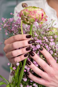 female hands with a beautiful dark burgundy manicure hold a bouquet of gypsophila. High quality photo