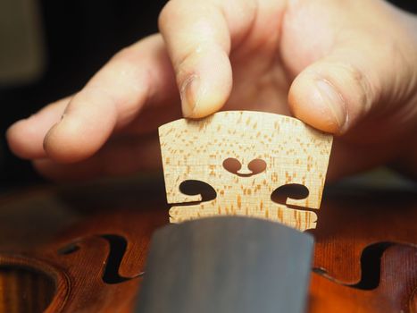 artisan placing the violin, viola, or cello bridge for playability, tone, and structural integrity
