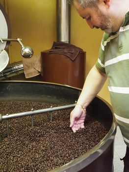 Freshly roasted coffee beans pouring from a large coffee roaster into the cooling cylinder.