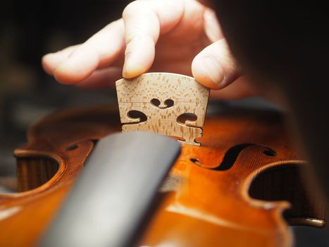artisan placing the violin, viola, or cello bridge for playability, tone, and structural integrity