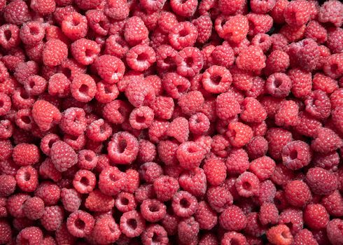 natural fruit background of fresh raspberries top view, texture of berries. High quality photo