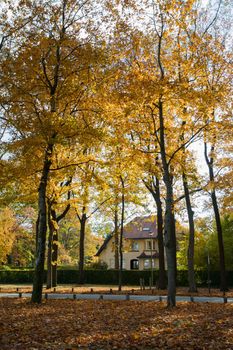 Autumn landscape, a house among the yellow autumn trees and leaf covered walkwayHigh quality photo