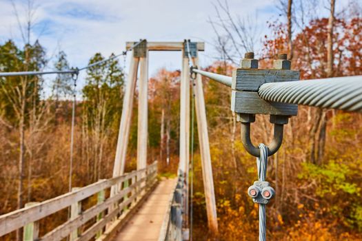 Image of Detail of support ropes for large suspension bridge leading into fall forest