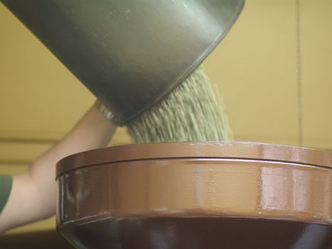 raw green coffee beans from bio ethical agriculture in costa rica