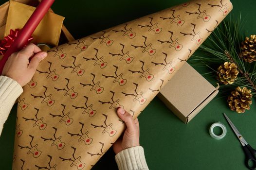 Top view woman's hands rolling out the decorative wrapping gift paper with deer pattern, above a green background with golden pine cones and fir-tree branch. Packing presents. Christmas preparations