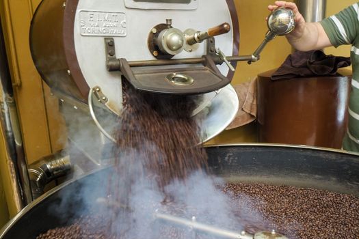 raw green coffee beans from bio ethical agriculture in costa rica roasted in Cremona Italy at Denti Torrefazione