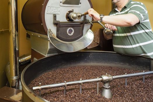 raw green coffee beans from bio ethical agriculture in costa rica roasted in Cremona Italy at Denti Torrefazione