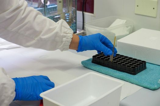 scientific researcher or doctor using looking at a clear solution in a laboratory