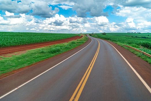 asphalt road in Brazilian nature in South America.
