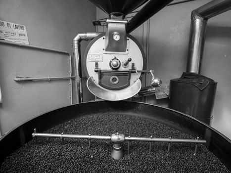 raw green coffee beans from bio ethical agriculture in costa rica roasted in Cremona Italy at Denti Torrefazione