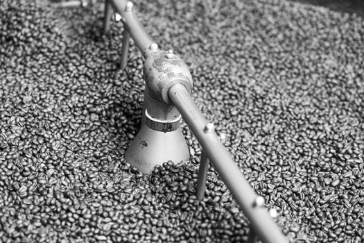 brown roasted coffee beans macro closeup