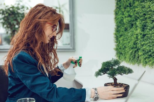 Young business woman working in the office with wall covered of grass. She sprays water on bonsai tree and smiles.