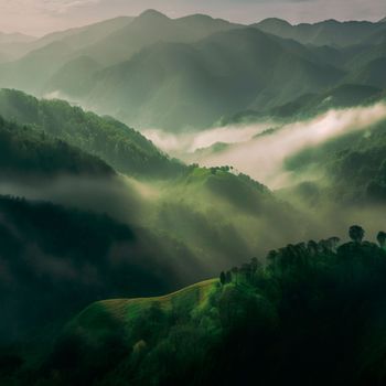 Green mountain range. Landscape of misty mountains. High quality illustration