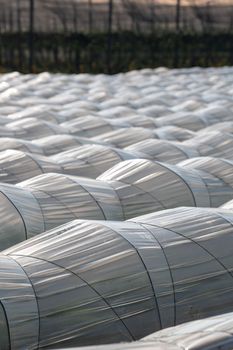 Farm plantation covered under agricultural plastic film tunnel rows, Create a greenhouse effect, Growing food, protecting plants from frost and wind, High quality 4k footage