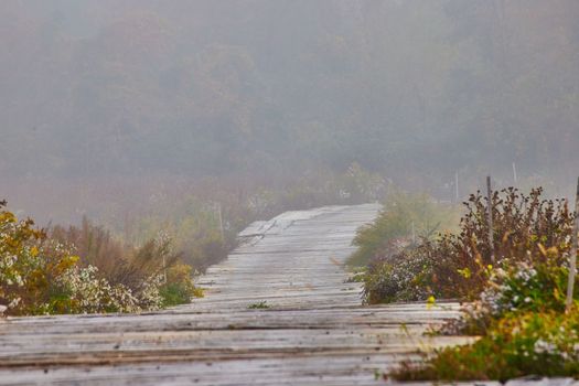 Image of Foggy morning detail of unusual wood plank road through fields