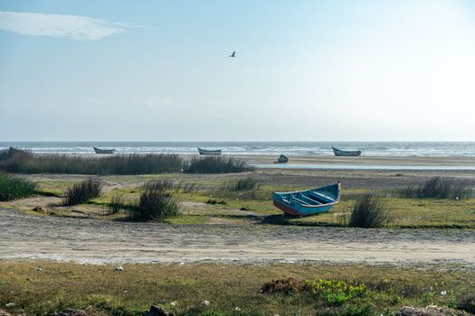 ocean shore with fishing boats. 