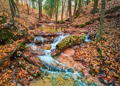 Image of Small river creek with cascading waterfalls in beautiful fall forest covered in orange leaves