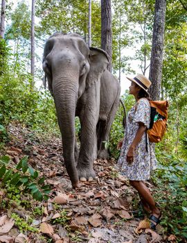 Asian woman visiting an Elephant sanctuary in Chiang Mai Thailand, a girl with an elephant in the jungle of Chiang Mai Thailand. 