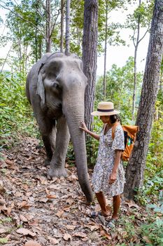 Asian woman visiting an Elephant sanctuary in Chiang Mai Thailand, a girl with an elephant in the jungle of Chiang Mai Thailand. 