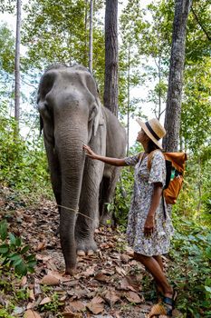 Asian woman visiting an Elephant sanctuary in Chiang Mai Thailand, a girl with an elephant in the jungle of Chiang Mai Thailand. 