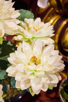 Image of Detail of white lotus flowers around golden objects