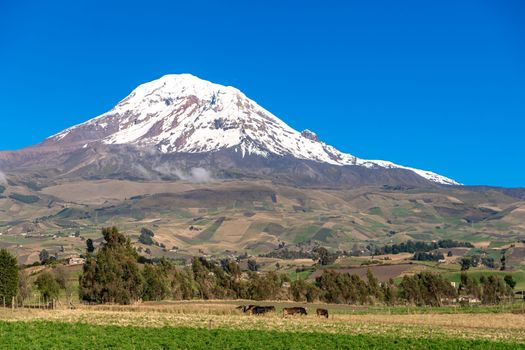 Andes mountain Cotopaxi in Ecuador. 