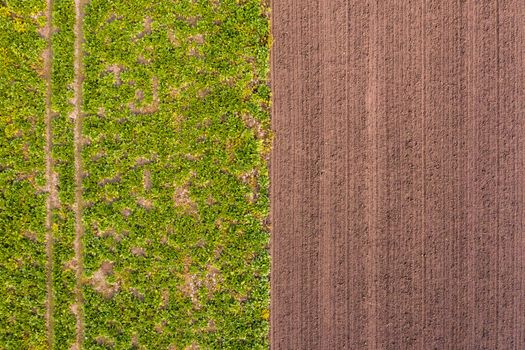 Aerial view of tractor tracks in a green field and in a brown field in the south of Germany