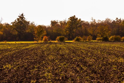 A lonely nature with many colored leaves in an autumn mood in Germany