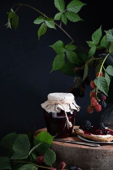 still life with a jar of blackberry jam and bruschettas with soft cheese and berries, decorated with a branch with green leaves, High quality photo