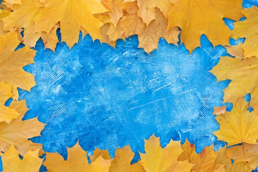 Autumn leaves frame on all side blue structured background top view Fall Border yellow and Orange Leaves vintage background table Copy space. Mock up for your design. Display for product or text