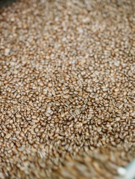 brown roasted coffee beans macro closeup making the blend series