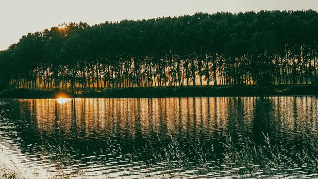 sunset in the Po river in Emilia Romagna, Italy