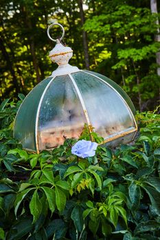 Image of Forest ground with old decayed glass light piece