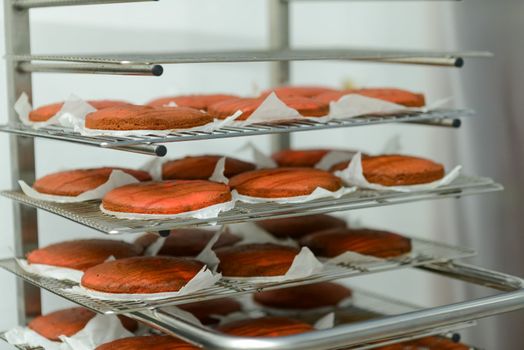 preparing layered red velvet cake , pieces in a trolley ready to prepare