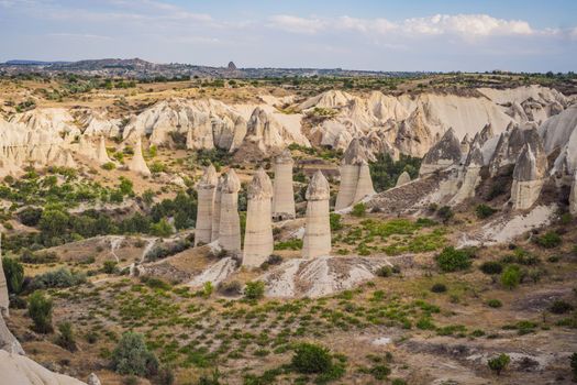 Unique geological formations in Love Valley in Cappadocia, popular travel destination in Turkey.