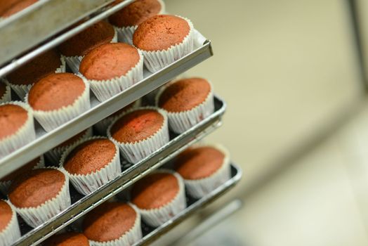 group of blanl cup cakes just baked