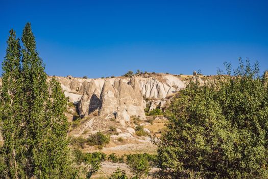 Unique geological formations in Love Valley in Cappadocia, popular travel destination in Turkey.