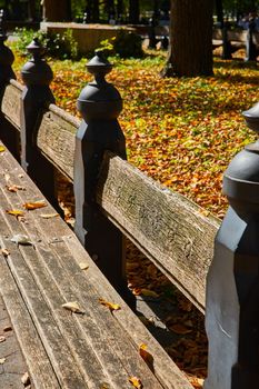Image of Wood benches in detail at The Mall in Central Park New York City