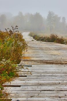 Image of Foggy morning detail of road made of wood planks going through fields