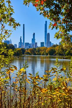 Image of Lake viewed through trees in Central Park with New York City skyline behind