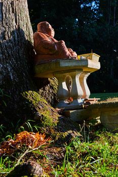 Image of Buddha statue on column resting against large tree in morning light