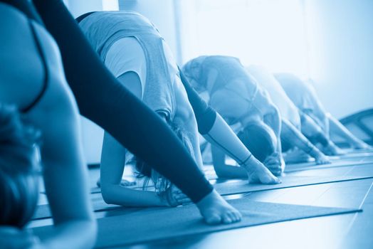 Yoga Class, Group of People Relaxing and Doing Yoga pose