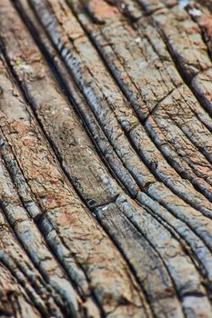 Image of Detail texture of layered rocky coast in Maine like petrified wood
